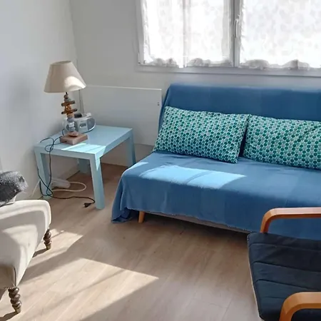 T2 Avec Terrasse A Stella Plage, Animaux Acceptes - Fr-1-236-165